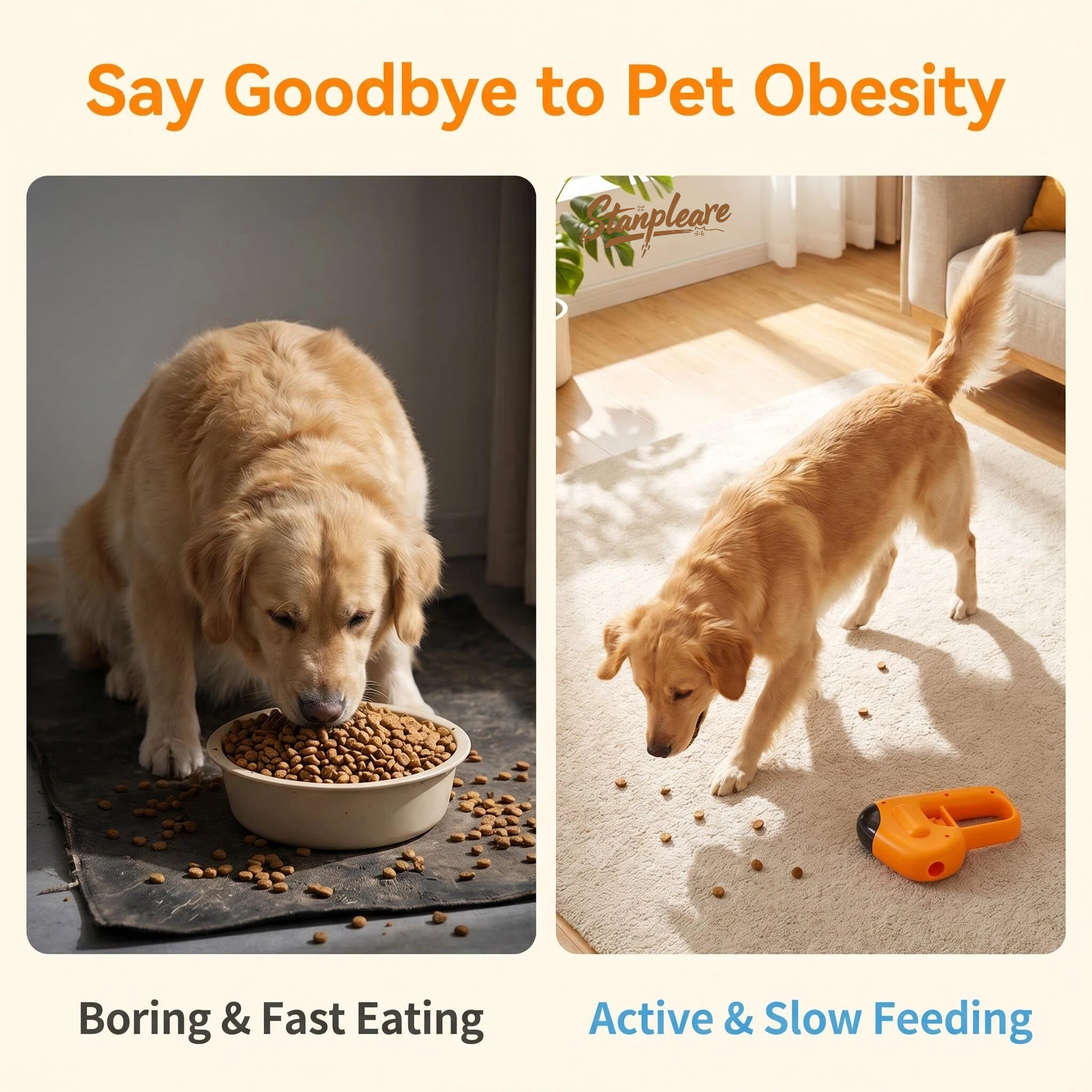 Interactive Pet Snack Launcher - مراجعة Food Snacks Game وسعره