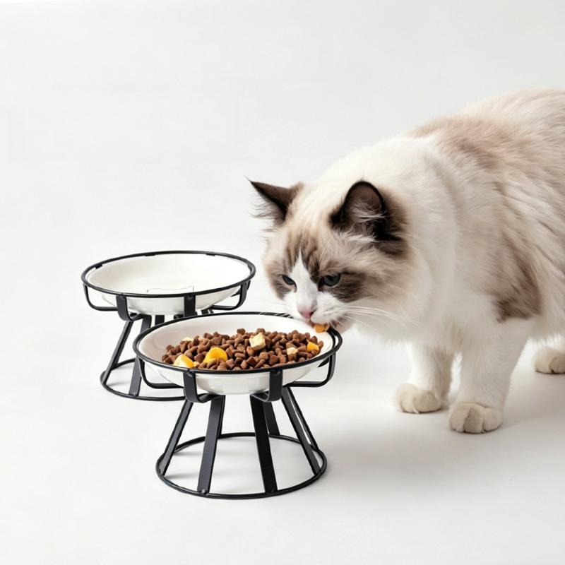 1/2Pcs Food Water Snack Feeder - مراجعة Food Snacks Drinks وسعره